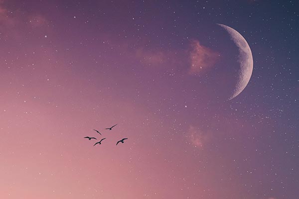 C'est une ciel étoilé de couleur violet avec une envolée d'oiseaux